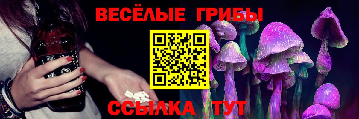 сколько стоит  Галлюциногенные грибы Cubensis  Вход с VPN  Сергиев Посад 